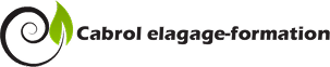 Site Name